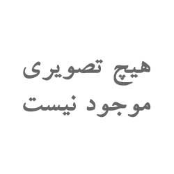 اسپری داشبورد و خوشبو کننده پاور (POWER) با رایحه اونتوس